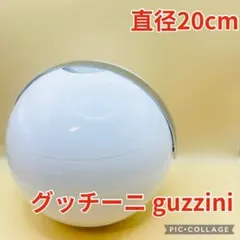 d*7様 レアGuzziniグッチーニ アイスバケットPaoloTilche トのサムネイル