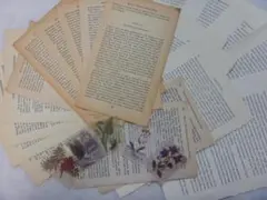 新品　洋書切り離し100頁＆ボタニカルシール　英語　フランス　スペイン　ドイツ