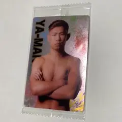 Item thumbnail for item 7829335b-7ac4-4230-888f-e522c0367336