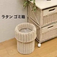 ラタン 籐 ゴミ箱 ダストボックス 内側布カバー付き オフホワイト