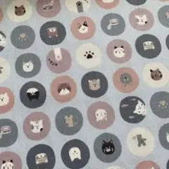 CBポプリン 猫 サークル 水玉 ブルー 50㎝ 生地