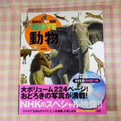 2026年最新】動く図鑑MOVE 動物 DVD付きの人気アイテム - メルカリ