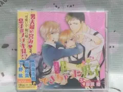2026年最新】できちゃった男子 CDの人気アイテム - メルカリ