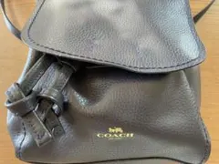 COACH ダークブラウン レザー バッグ
