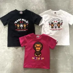 Item thumbnail for item e87a577e-7b8a-49f6-8745-c026837fc9d1