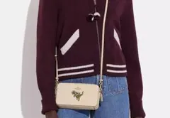 2026年最新】coach レキシーの人気アイテム - メルカリ