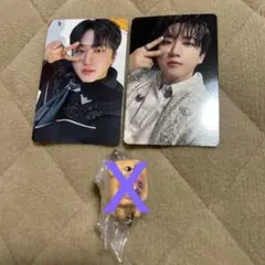 straykids toyworld トレカ　チャンビン　changbin