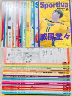 ハイキュー ショーセツバン リミックス アニメイト特典 コンプリート