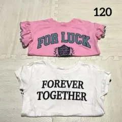 女の子半袖Tシャツ2枚セット ピンク ホワイト 120