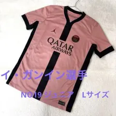 パリサンジェルマン イ・ガンイン 3rd ユニフォーム NIKE ジュニア　L