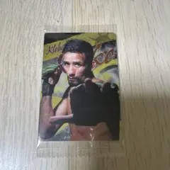 RIZINウエハース　クレベル・コイケ　14