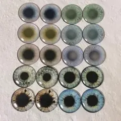 Item thumbnail for item 2777a271-b11d-4434-be9f-479c5b41b420