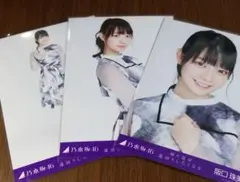 乃木坂46 生写真 阪口珠美　帰り道は遠回りしたくなる　コンプ