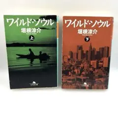 ワイルド・ソウル　上下巻　2冊セット　垣根涼介　文庫版