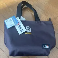 Item thumbnail for item 5ddd6559-8eda-4890-a937-1bea2b4cd855