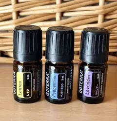 新品未使用品■ドテラ■ペパーミントビーズ■125粒(3個セット) doTERRA ペパーミントビーズ125粒 すっきり