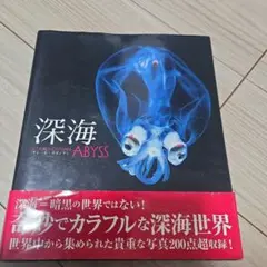 深海 ABYSS クレア・ノヴァン