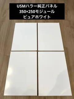 USM ハラー用オリジナルガラス天板 設置パーツ付 - メルカリ