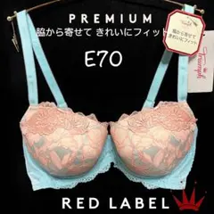 ＊Sale! E70 レッドレーベル バイ トリンプ0095 ブラ単品 M007