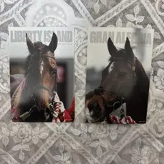 リバティアイランド　グランアレグリア　ポストカード