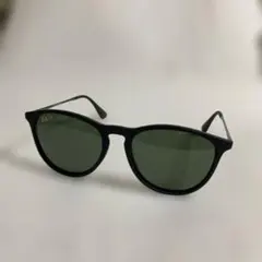 Ray-Ban ERIKA RB4171 偏光サングラス