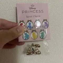 ディズニー　プリンセス　シークレット　チャーム　ジャスミン