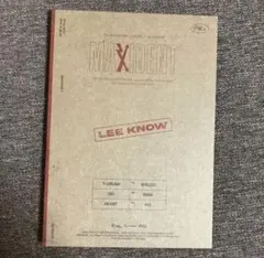 StrayKids MAXIDENT CASEver. リノ