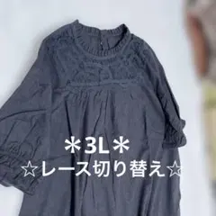 ＊お値下げ中　＊colopuca 五分袖 チュニック レース切替　3Lのサムネイル