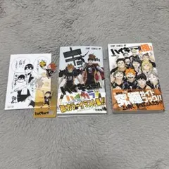 ハイキュー　極　ハイカラ　2冊セット