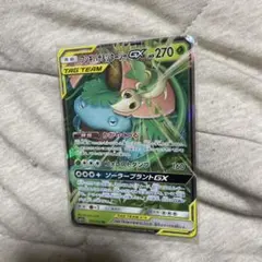 フシギバナ＆ツタージャGX RR SM11a リミックスバウト 001/064