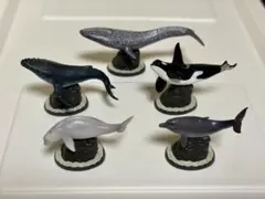 【入手困難‼️】地球生命紀行「クジラ2」6種コンプリートセット