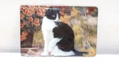 猫の絵画プレート 看板 ブリキ インテリア小物 インテリア雑貨