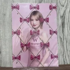 【新品】Wonjungyo クリアファイル twice momo モモ　非売品