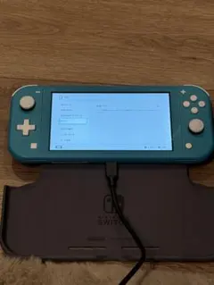 Nintendo Switch light