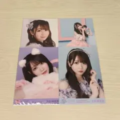 イコラブ 大谷映美里 生写真 猫衣装 モーリーファンタジー 絶アイ 武道館衣装