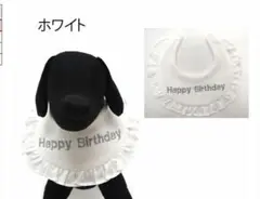 Item thumbnail for item d5ec1894-302d-445f-b010-518c24e455f8