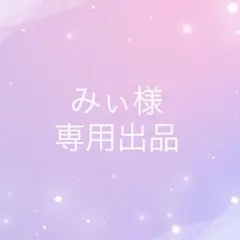 みぃ様専用ページ