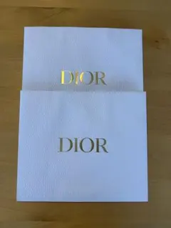 DIOR ショップ紙袋2枚セット