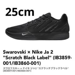 W*m様 NIKE✖️cpfm スワロフスキー　希少xl CPFM × Nike】スワロフスキーをあしらったDunk Lowが2020年11月