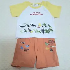 スラップスリップ シャツ パンツ セット 80cm 昆虫 動物 恐竜