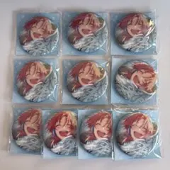 あんスタ 中国缶バッジ レオ