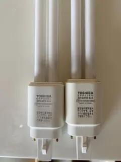 TOSHIBA 白熱電球 20ワット EFP20EN 2本入り TOSHIBA 白熱電球 20ワット EFP20EN 2本入り TOSHIBA 白熱電球