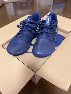 asics アンプレアルス low2 右27.0cm 左26.5cm