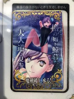 宮本武蔵　水着　フェイタル　ホロ　fgo アーケード FGOAC】水着武蔵ちゃんと北斎ちゃん撮影会【水着宮本武蔵ピックアップ