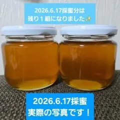 日本蜜蜂のハチミツ　200g×2本(2026.6.17採蜜)百花蜜　鹿児島県産のサムネイル