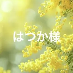 はつか様 リクエスト 3点 まとめ商品