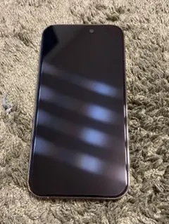 【美品】iPhone 14 Pro シルバー 256GB