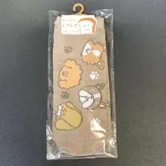 Item thumbnail for item 4f94bd88-f239-4dc4-ae08-29d47622d01b