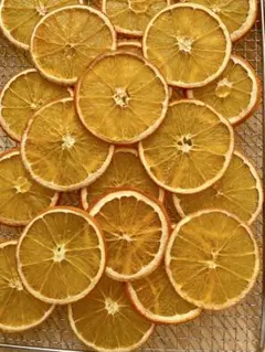 乾燥オレンジスライス 24枚