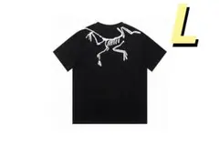 ARC'TERYX Lサイズ Tシャツ Lサイズ